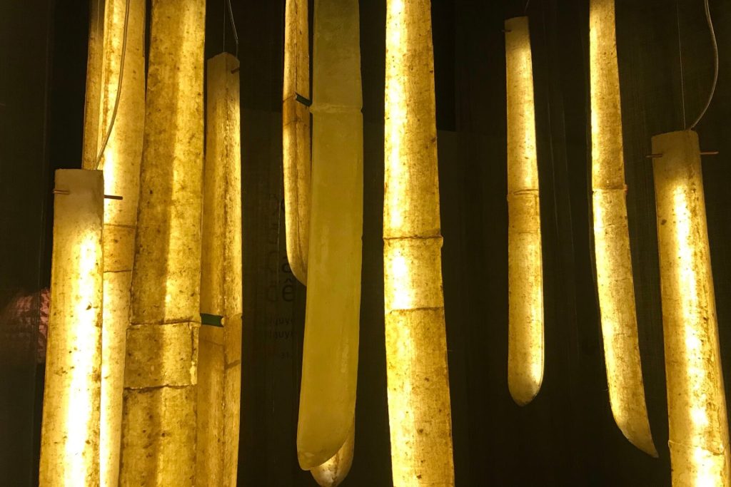 “Xem đêm Càng đêm”: Ranh giới nghệ thuật của một trưng bày ánh sáng